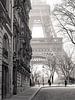 Eiffel Tower at Champs de Mars van Nico Geerlings thumbnail