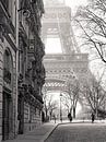 Eiffelturm - Champs de Mars von Nico Geerlings Miniaturansicht