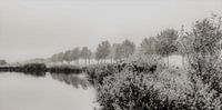 Brabant