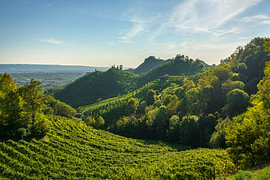 Prosecco Hills Vineyards near Farra di Soligo, Veneto, Italy by Stefano Orazzini