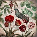 Vogel mit Tulpen von Andrea Haase Miniaturansicht