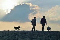 Natuurgebied De Lange Duinen, Soest