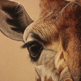 Gros plan sur la girafe avec détails, regard doux et texture sur Eva Lee