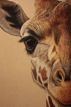 Giraffe Nahaufnahme im Detail Soft Gaze und Textur von Eva Lee
