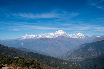 Uitzicht in Nepal van Ellis Peeters