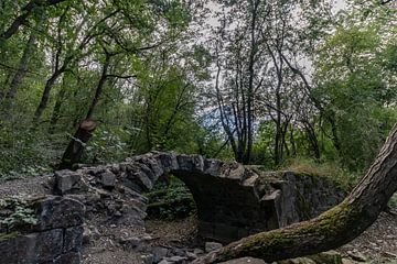 Old bridge in the forest by Paul Veen