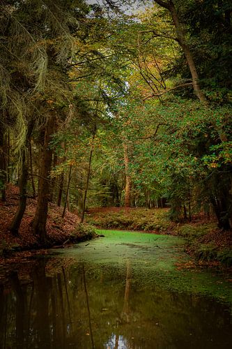 In die Wälder, Fraeylemaborg im Herbst