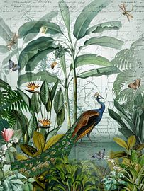 Der Pfau genießt seine Freiheit von christine b-b müller