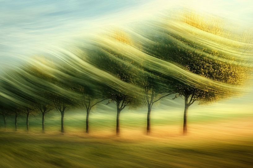 Winderig veld van ARTemberaubend
