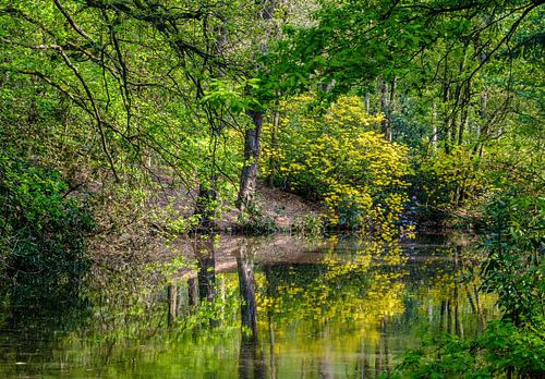 Den Uitlegger in Kapellen in spring mood (L'homme au printemps)