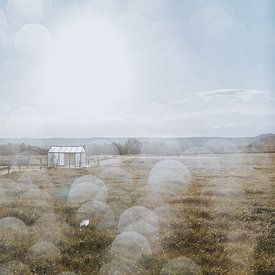 Landschapsfoto met regendruppels op de lens, uitzicht op een weiland met een glazen kas | Natuurfoto van eighty8things