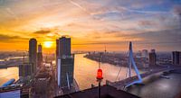 Skyline Rotterdam vanaf de Maastoren par Mart Stevens Aperçu