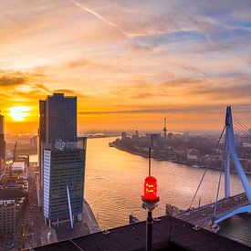 Skyline Rotterdam vanaf de Maastoren sur Mart Stevens