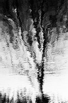 Reflected vision 5