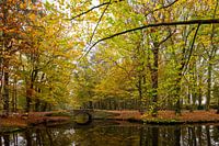 't Oude Hof in Bergen with trees in autumn colours