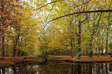 't Oude Hof in Bergen with trees in autumn colours