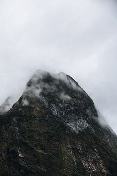 Doubtful Sound: unentdeckte Schönheit von Ken Tempelers