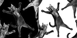 Foolish Cat in Black & White by Artmotifs Eve