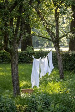 Laundry by inez