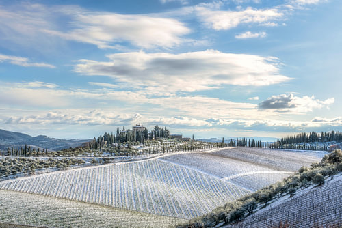 Besneeuwde wijngaard in de heuvels van Chianti, Radda in Chianti, Toscane