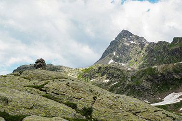 Hochalpine Bergseen und beeindruckende Gipfelkulisse in der ursprünglichen Natur der Meraner Seeplatte in Südtirol.