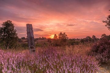 La vallée de Radenbach au lever du soleil sur Dieter Rabenstein