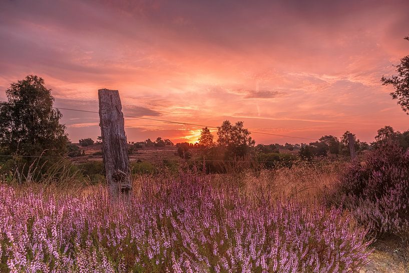 Radenbach valley at sunrise by Dieter Rabenstein