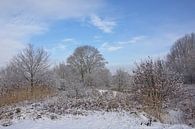 Winterlandschap in de Bourgoyen van Kristof Lauwers thumbnail