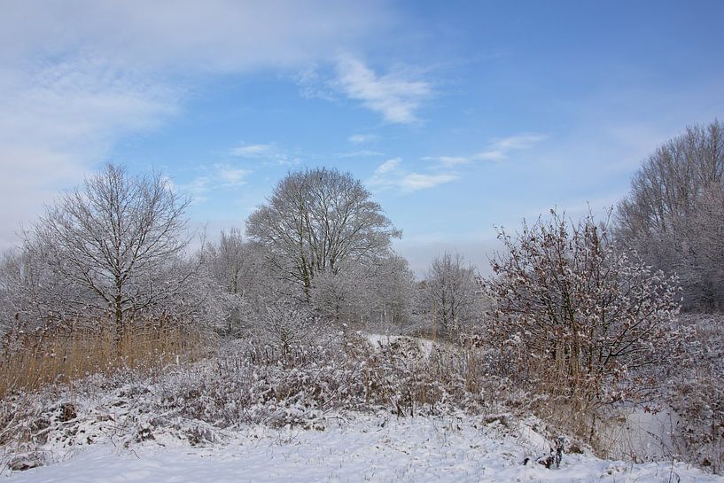 Winterlandschap in de Bourgoyen von Kristof Lauwers