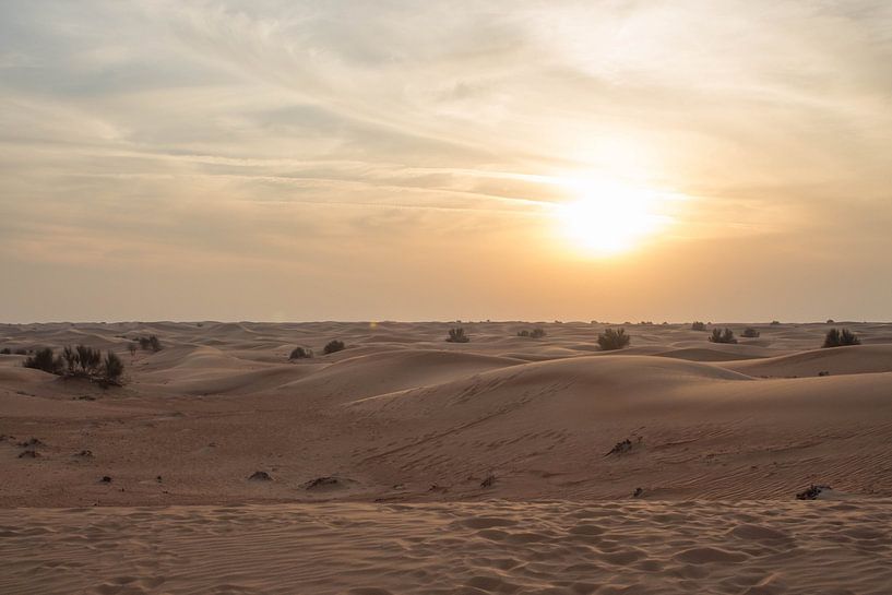 Dubai Desert I van Chantal Cornet