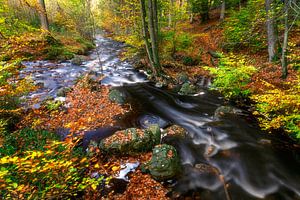 Schnell fließendes Wasser im Herbstwald von Karla Leeftink