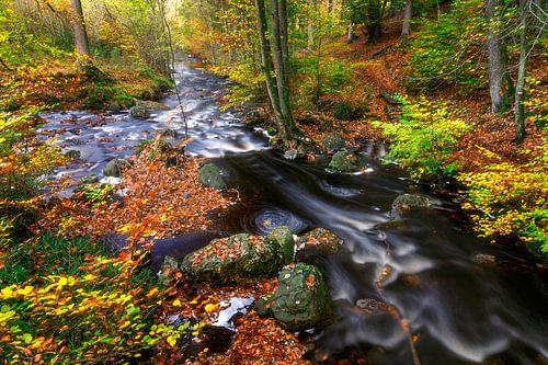 Fast flowing water in autumn forest