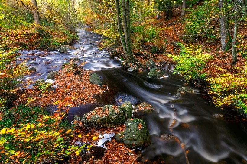 Schnell fließendes Wasser im Herbstwald von Karla Leeftink