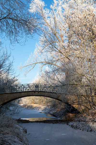 Magdeburg - Rotehorn City Park in Winter by t.ART