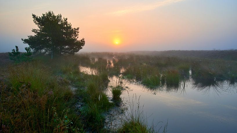 Fog and sunrise on the Renderklippen by Jenco van Zalk