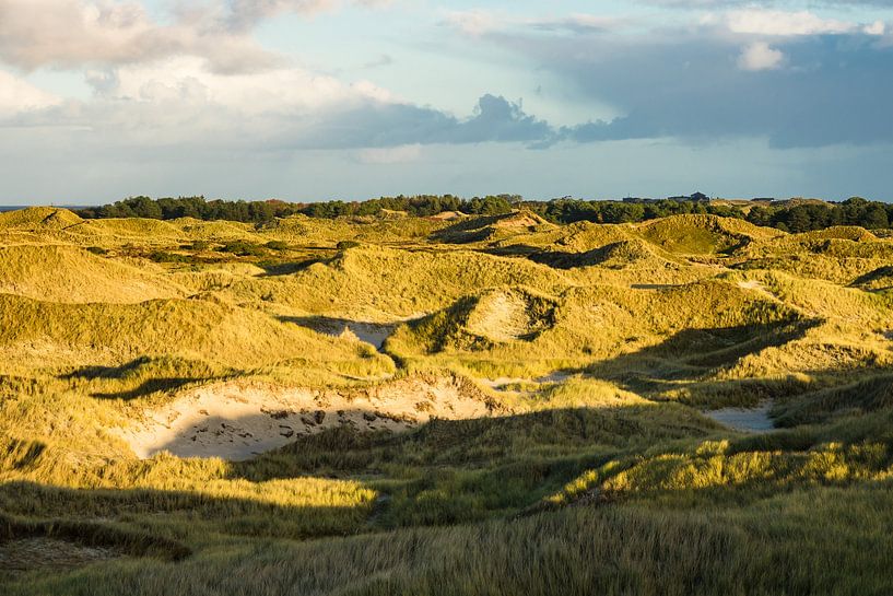 Landschaft mit Dünen auf der Insel Amrum van Rico Ködder