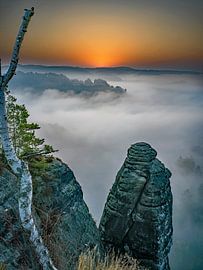 Nebel beim Sonnenaufgang in der Sächsischen Schweiz (Elbsandsteingebirge) von t.ART