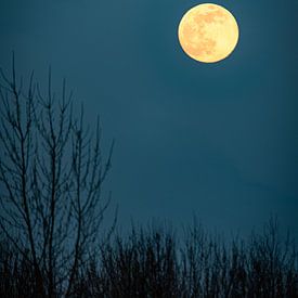 Moonset van Peter Pruydt