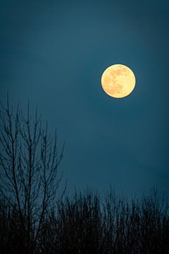Moonset van Peter Pruydt