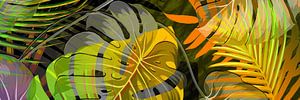 TROPICAL LEAVES COMBO-4-P4