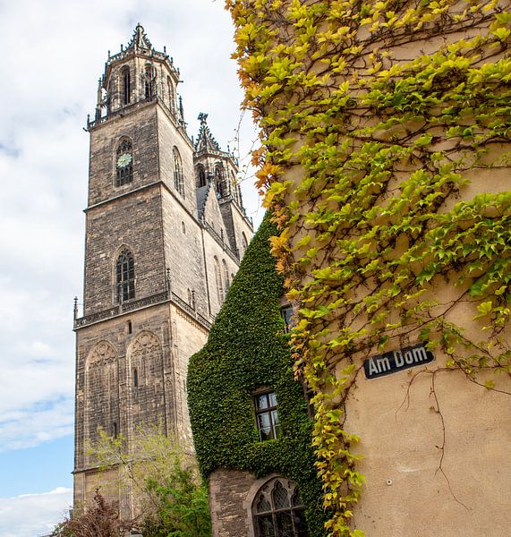Magdeburg - At the cathedral by t.ART
