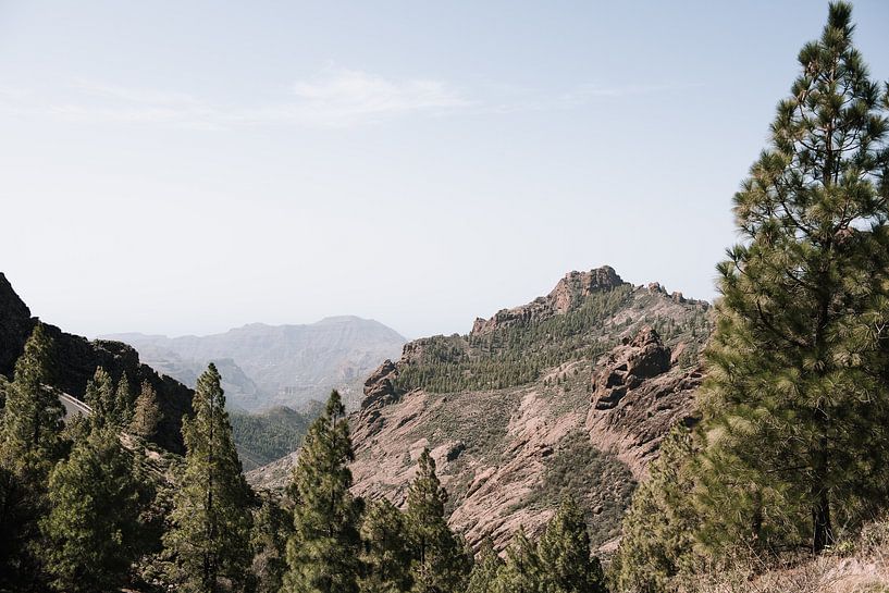 Mountains of Gran Canaria by Jantine Prins
