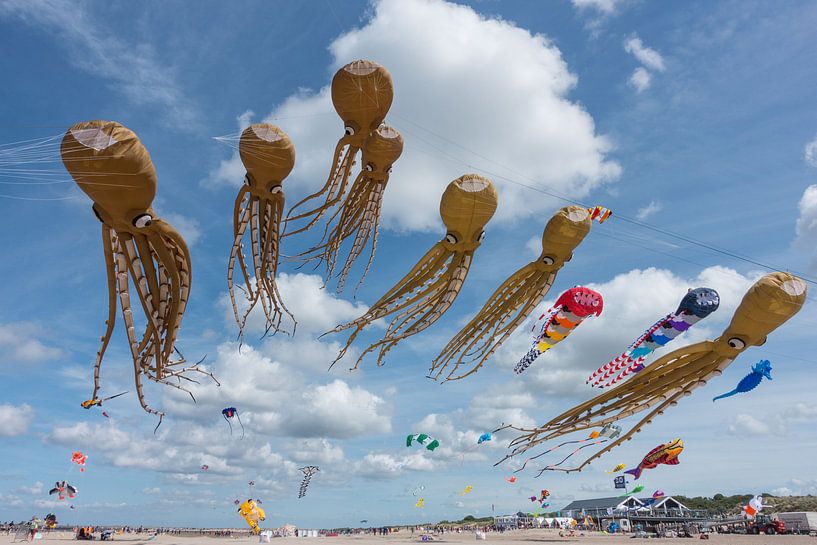 Vliegers op het strand von Stefan Wapstra