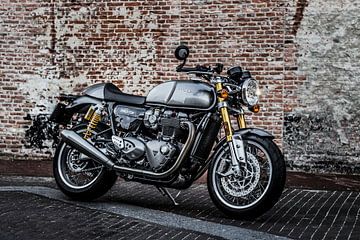 Triumph Thruxton R van Westland Op Wielen