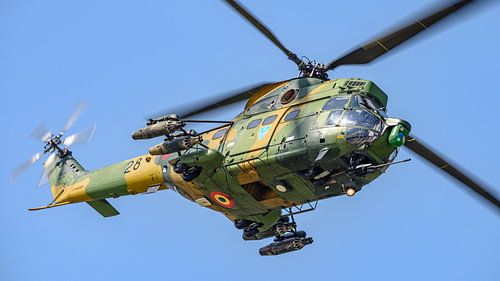 IAR-330 Puma van de Roemeense Luchtmacht.