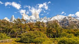 Fitz Roy, El Chalten, Patagonia, Argentina by Gunter Nuyts