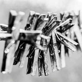Clothes pegs by Stephan Zaun