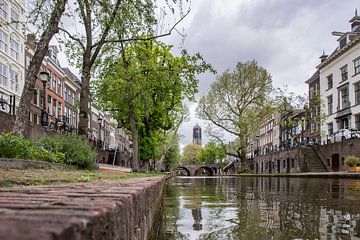 La tour du Dom depuis l'Oudegracht sur De Utrechtse Internet Courant (DUIC)