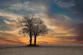 Sonnenaufgang in einer Winterlandschaft