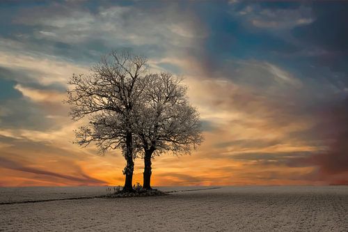 Zonsopkomst bij een winters landschap.